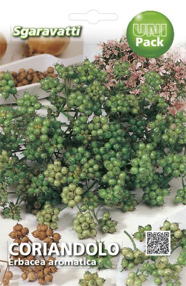 Coriandru Erbacea aromatica