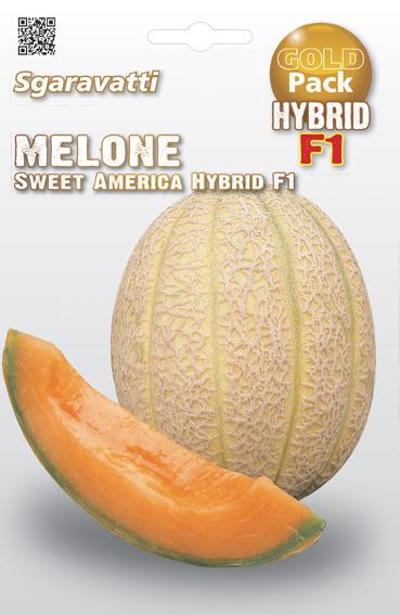 Zămos Sweet America Hybrid F1