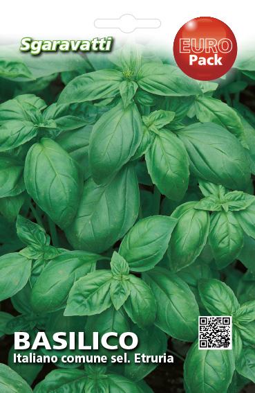 Busuioc Italian Basil Sel. Etruria