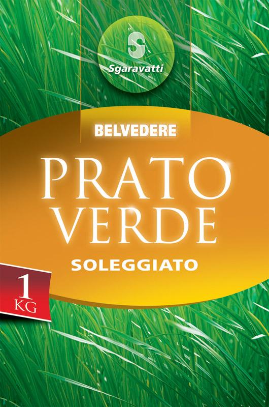 Iarbă pentru gazon Soleggiato