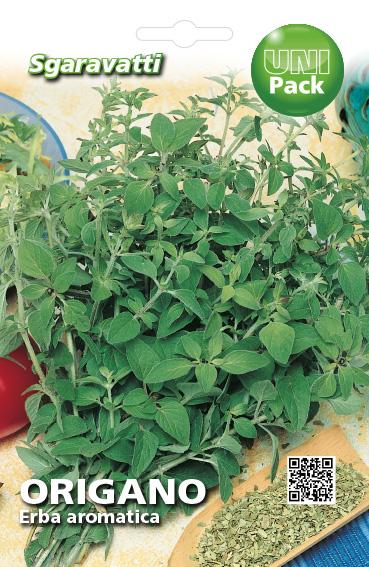 Oregano Erba aromatica