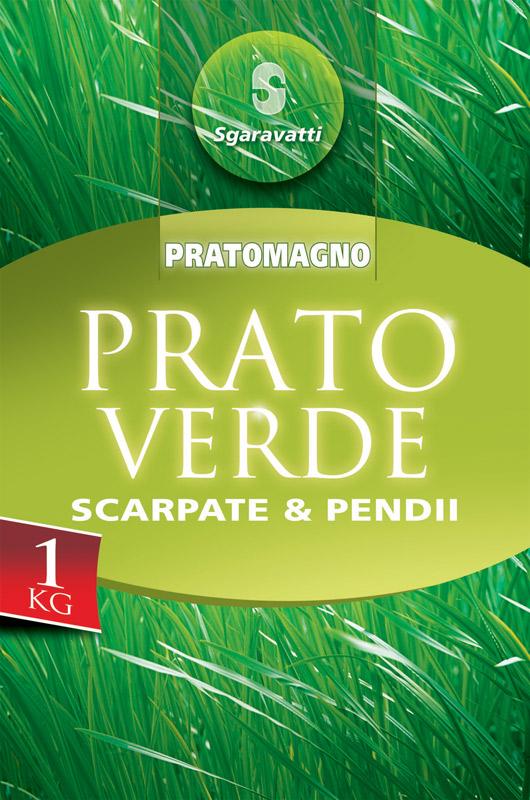 Iarbă pentru gazon Scarpate & Pendii
