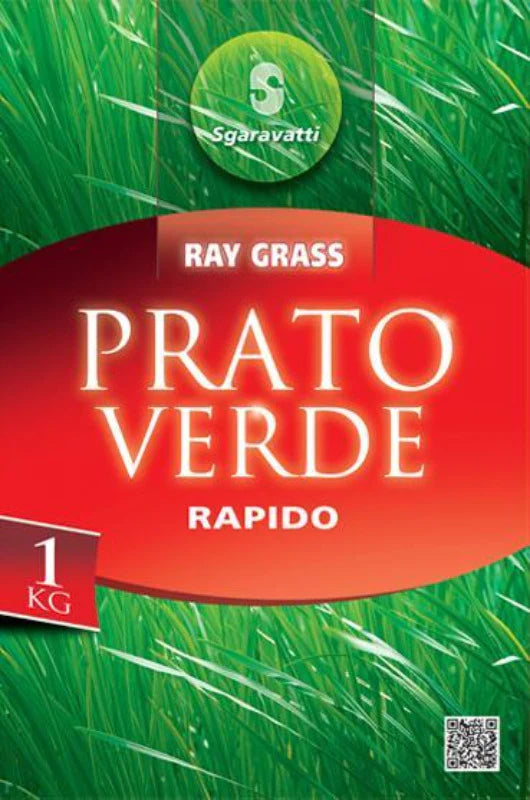 Iarbă pentru gazon Rapido
