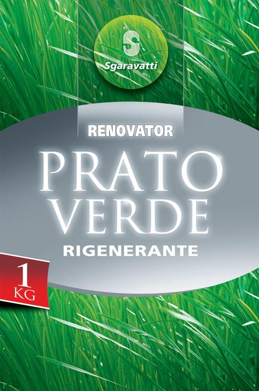 Iarbă pentru gazon Rigenerante