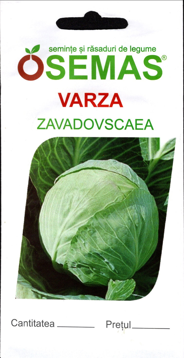 Varză Zavadovscaea