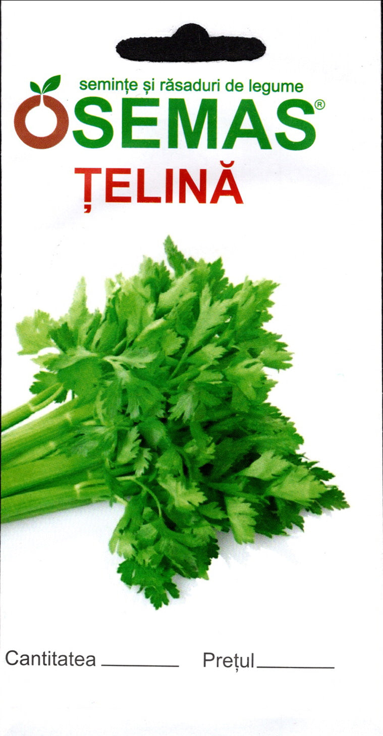 Țelină