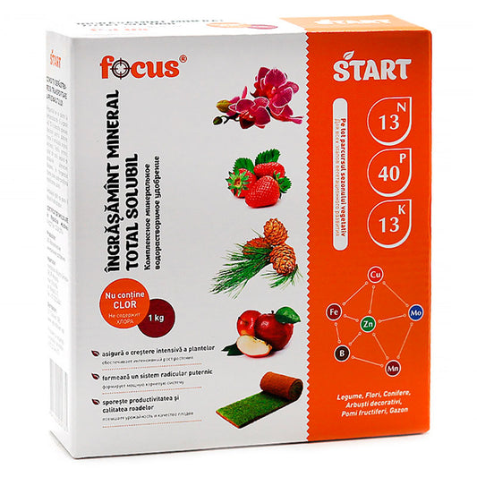 FOCUS START 13-40-13 1KG (6/AMB)