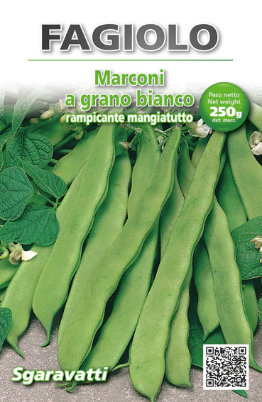Fasole Marconi a grano bianco